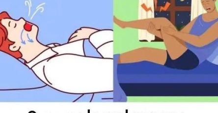 742267137 1703121911013914 1997465941174440664 n