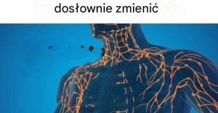 747307041 122111421669318289 8098853995040264808 n