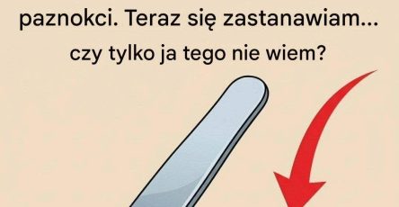 FB IMG