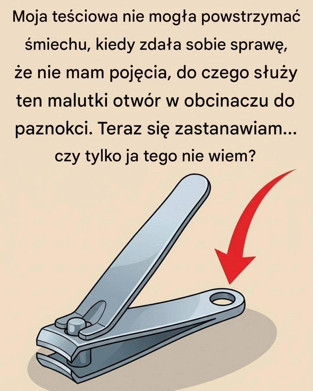 FB IMG