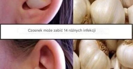 B2d315fb 22bc 4425 9660 8c87b22a82e6