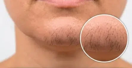 698457937 1413596474138257 3286037459845515330 n